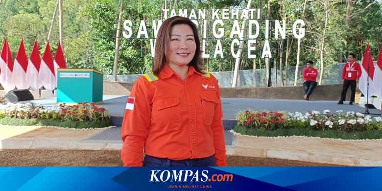 CEO Vale Indonesia Mengundurkan Diri Secara Mendadak?