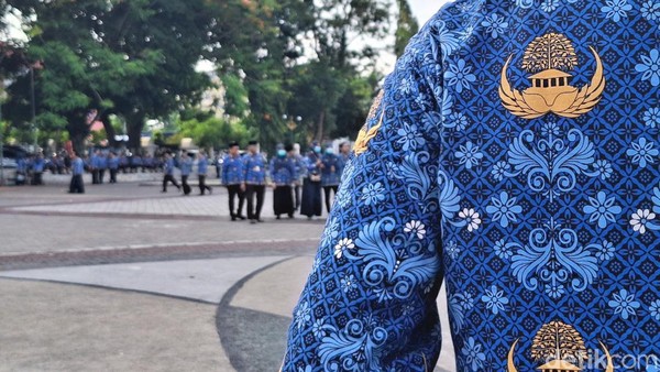 Progres Penerbitan SK dan NIP oleh BKN! Update Terkini Pengangkatan CPNS dan PPPK 2024, Kabar Gembira bagi Para Pelamar
