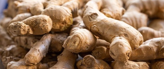Temukan 9 Herbal Alami Ampuh Jaga Kesehatan Ginjal Anda, dari Jahe hingga Leunca agar Ginjal Tetap Sehat