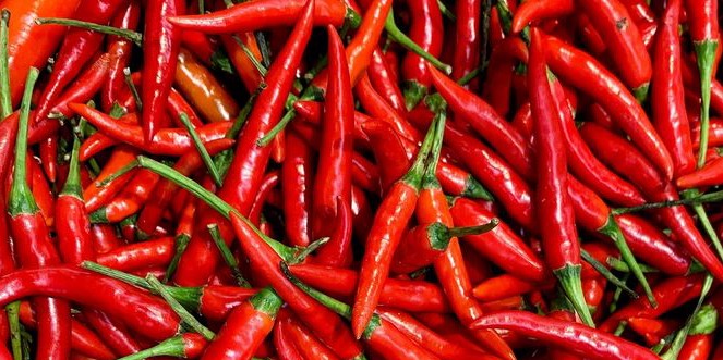 Ketahui 11 Makanan Lezat yang Ampuh Meningkatkan Kesehatan Pembuluh Darah untuk Jantung Lebih Sehat