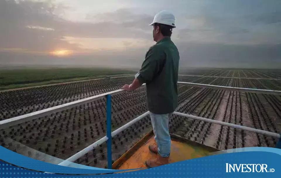 Emiten Ketok Dividen Rp 268 per Saham, Cek Jadwal Pembagiannya!