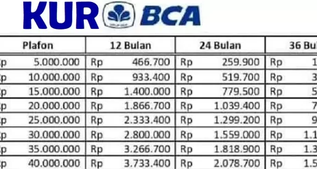 Temukan Peluang Modal Usaha! Pinjaman KUR BCA Rp50 Juta Tanpa Jaminan? Cek Simulasi Cicilan dan Cara Pengajuan Lengkapnya Sekarang juga raih impian bisnis Anda