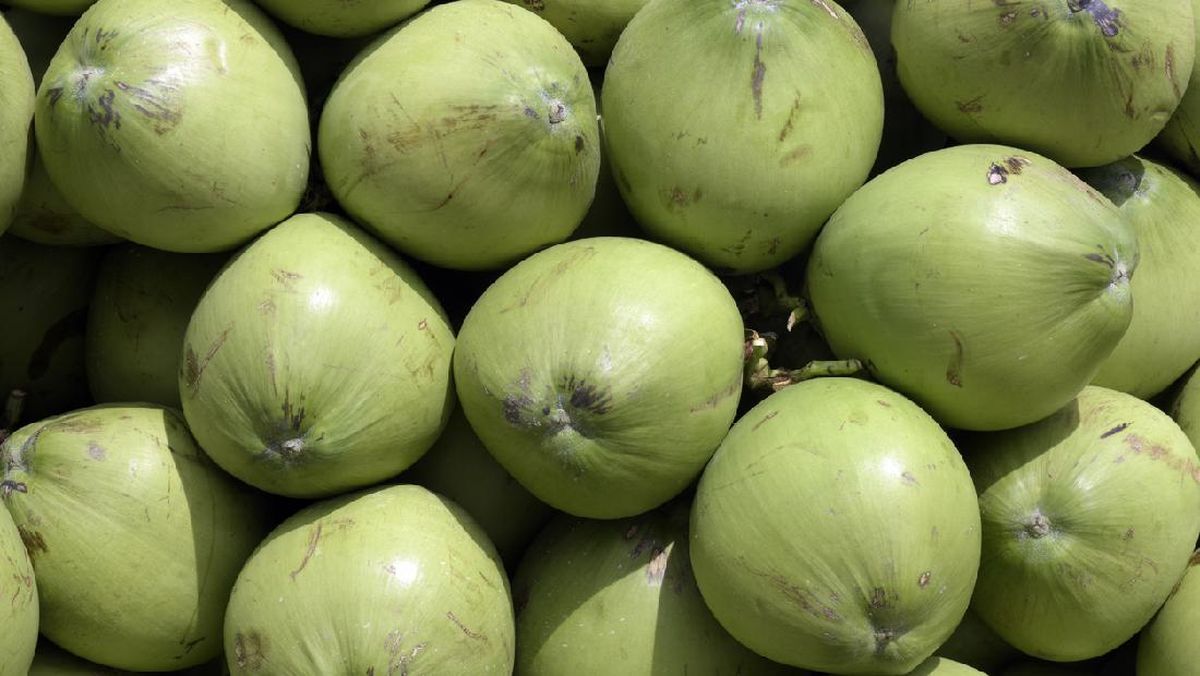 Ini 5 Waktu Terbaik Minum Air Kelapa, Manfaatnya Jadi Maksimal untuk Kesehatan Anda