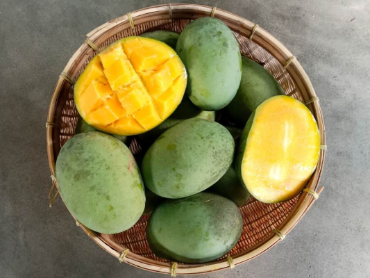 Mengenal Mangga Kweni dan 5 Manfaatnya untuk Kesehatan yang Jarang Diketahui