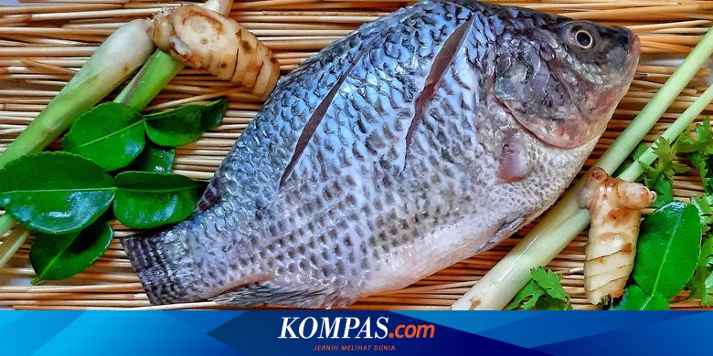 5 Jenis Ikan yang Baik untuk Kesehatan Ginjal dan Meningkatkan Kualitas Hidup Anda