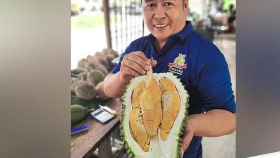 Ketahui Mengapa Tupai King Dinobatkan Sebagai Durian Premium Mengalahkan Black Thorn rasanya bikin semua penasaran
