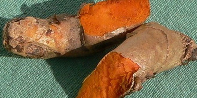 Temukan Fakta, Kunyit Merusak Liver? Cek Hasil Penelitian Terbaru , Penting untuk Diketahui