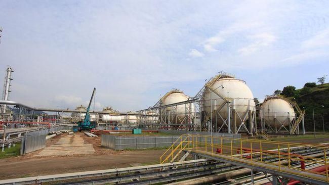 Jelang IPO, Ada Aksi Korporasi di Perusahaan Prajogo Pangestu (CDI) Apa yang Terjadi?