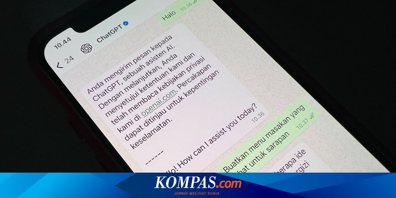 Cara Akses ChatGPT via WhatsApp, Tanpa Perlu Unduh Aplikasi, Hemat Kuota Internet Anda
