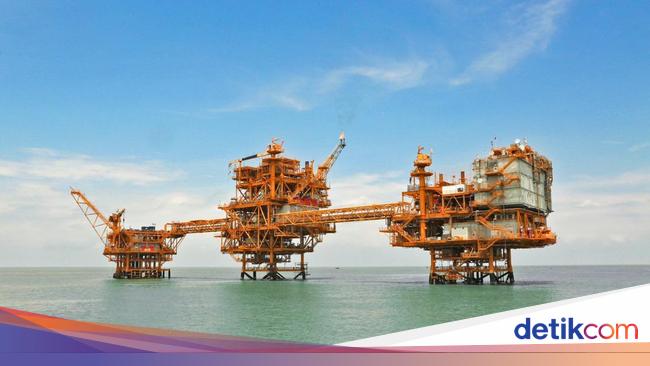Ini Bukti RI Masih Jadi Incaran Investor Asing dan Prospek Ekonomi Cerah