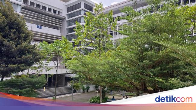 5 Universitas di Indonesia Ini Punya Hutan di Dalam Kampus, Ada UI,UGM,  Jelajahi Keindahan Tersembunyi