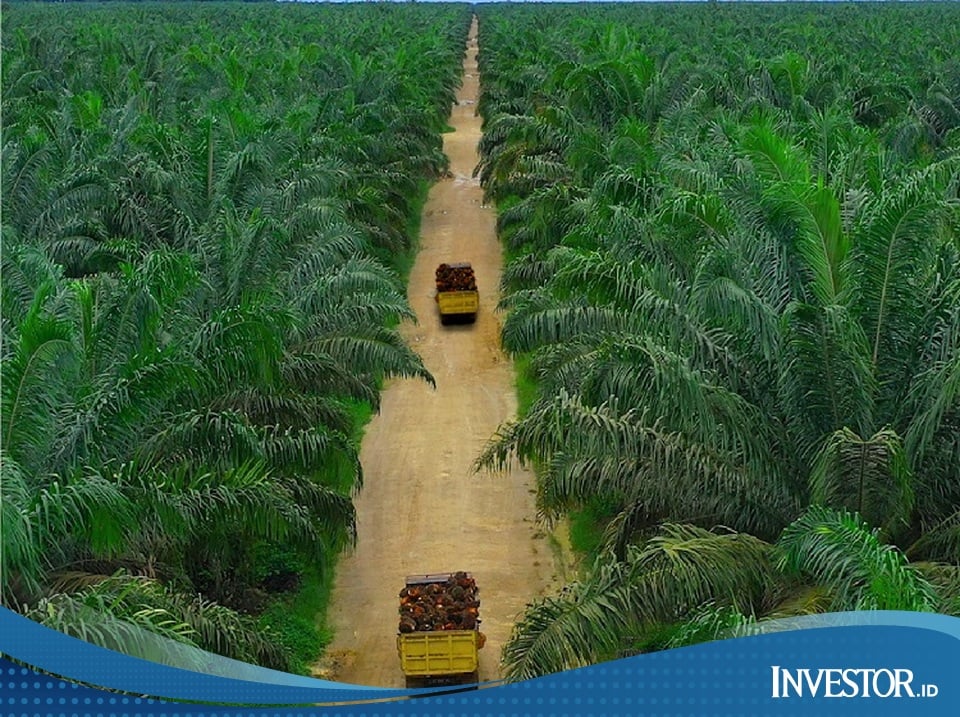 RUPST Teladan Prima Agro (TLDN) Tetapkan Dividen Rp 31 per Saham, Investor Tersenyum Lebar
