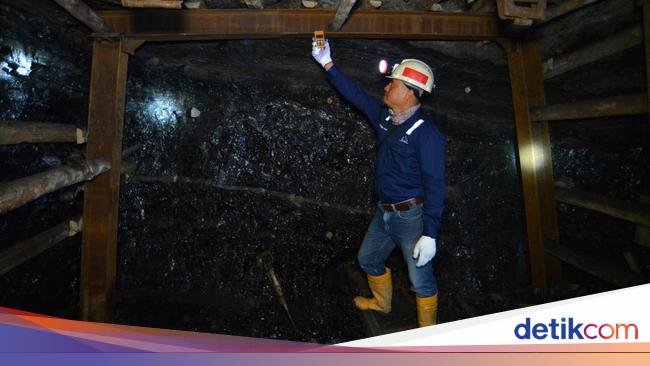 Pendapatan Bukit Asam Naik, Namun Laba Bersih Justru Turun, Apa Penyebabnya?
