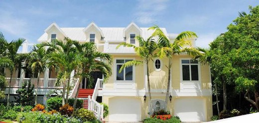 Inilah 7 Pohon Cantik yang Aman untuk Fondasi Rumah Anda, Cocok Ditanam di Pekarangan rumah halaman asri