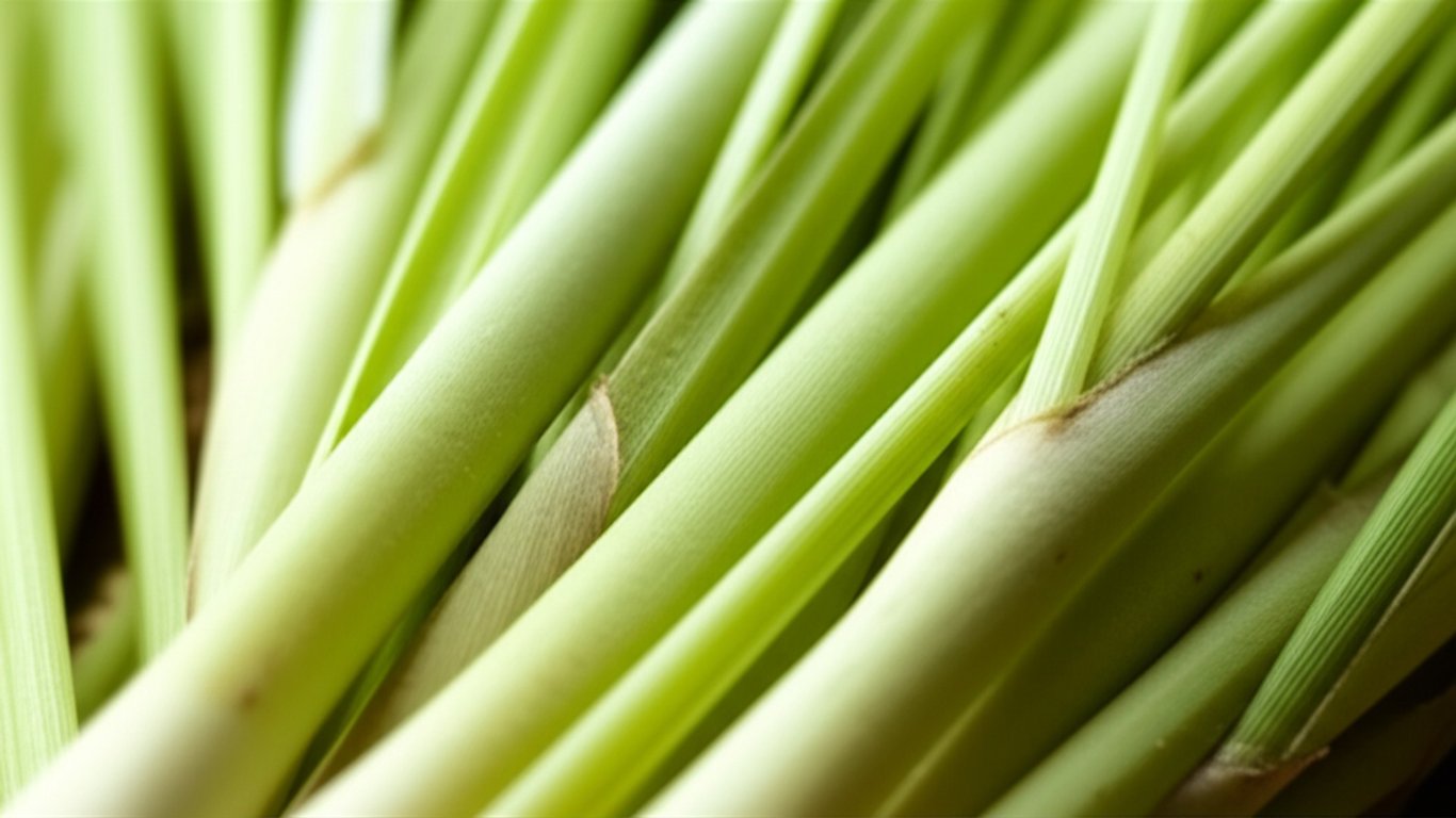 27 Manfaat Daun Sereh yang Wajib Kamu Intip!