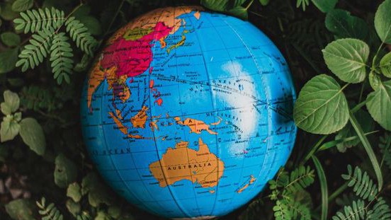 Inilah Keajaiban Buah Pahit Asal RI, Diburu Singapura dan Arab karena Khasiatnya Alami bagi kesehatan tubuh