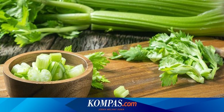Apa Manfaat Konsumsi Seledri Bagi Kesehatan Tubuh? Temukan Jawabannya Sekarang Juga