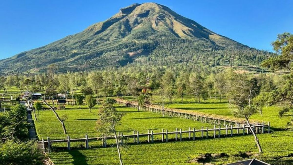 Liburan Akhir Pekan bersama Keluarga di Wonosobo, 7 Rekomendasi Tempat Wisata yang Wajib Dikunjungi Akhir Pekan Ini