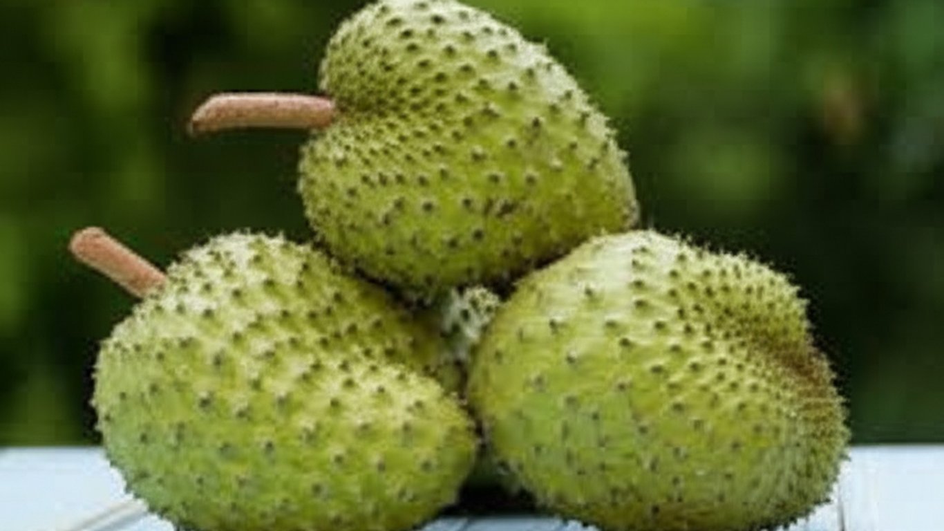 Ketahui 27 Manfaat Buah Sirsak yang Bikin Kamu Penasaran