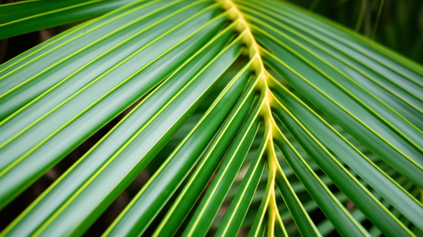 30 Manfaat Daun Kelapa yang Bikin Kamu Penasaran!