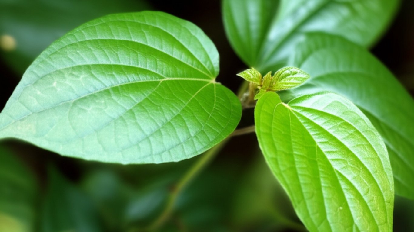 Intip 14 Manfaat Daun Ketul yang Jarang Diketahui